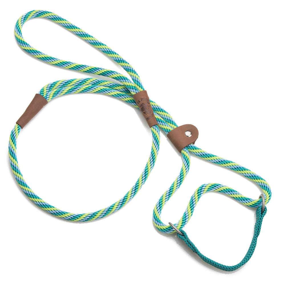 Mendota Pet Dog Walker, Martingale Style Leash - Leash & Collar Combo, Made in The USA - Seafoam, 3/8 in x 6 ft - for Small/Medium Breeds