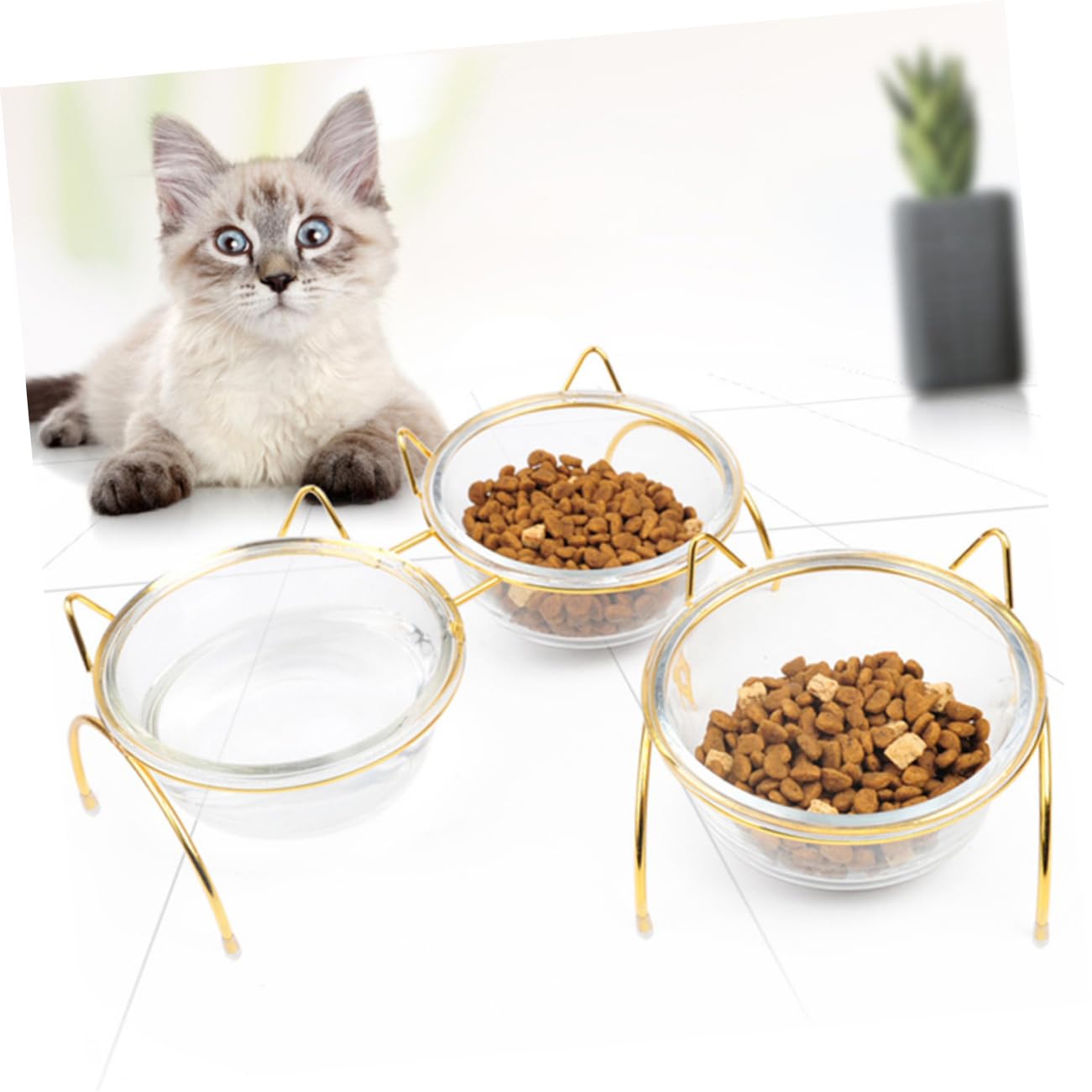 Mipcase Tazón de Comida de Doble Tazón Comedero Elevado para Mascotas Diseño Inclinado Comedero de Vidrio para Perros y Gatos