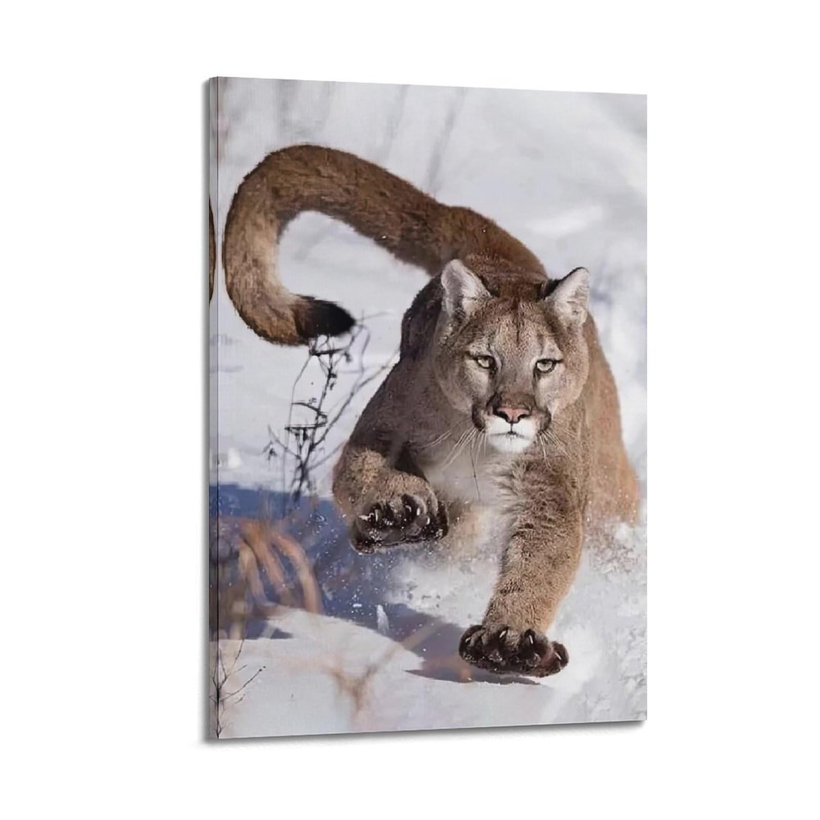 XKUGA Wild Felines Poster Cougar Big Cat Habitat Modern Decorative Canvas Prints - Ideal Wall Art for Family, Man Cave, Game Room, Boys & Girls Bedroom 20x30inch(50x75cm)