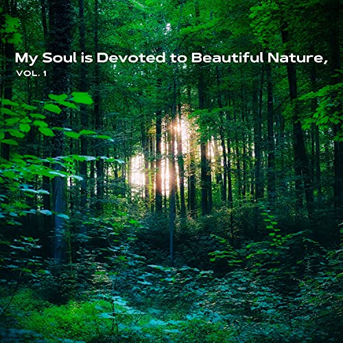 My Soul is Devoted to Beautiful Nature, Vol. 1 by VARIOUS ARTISTS on ...