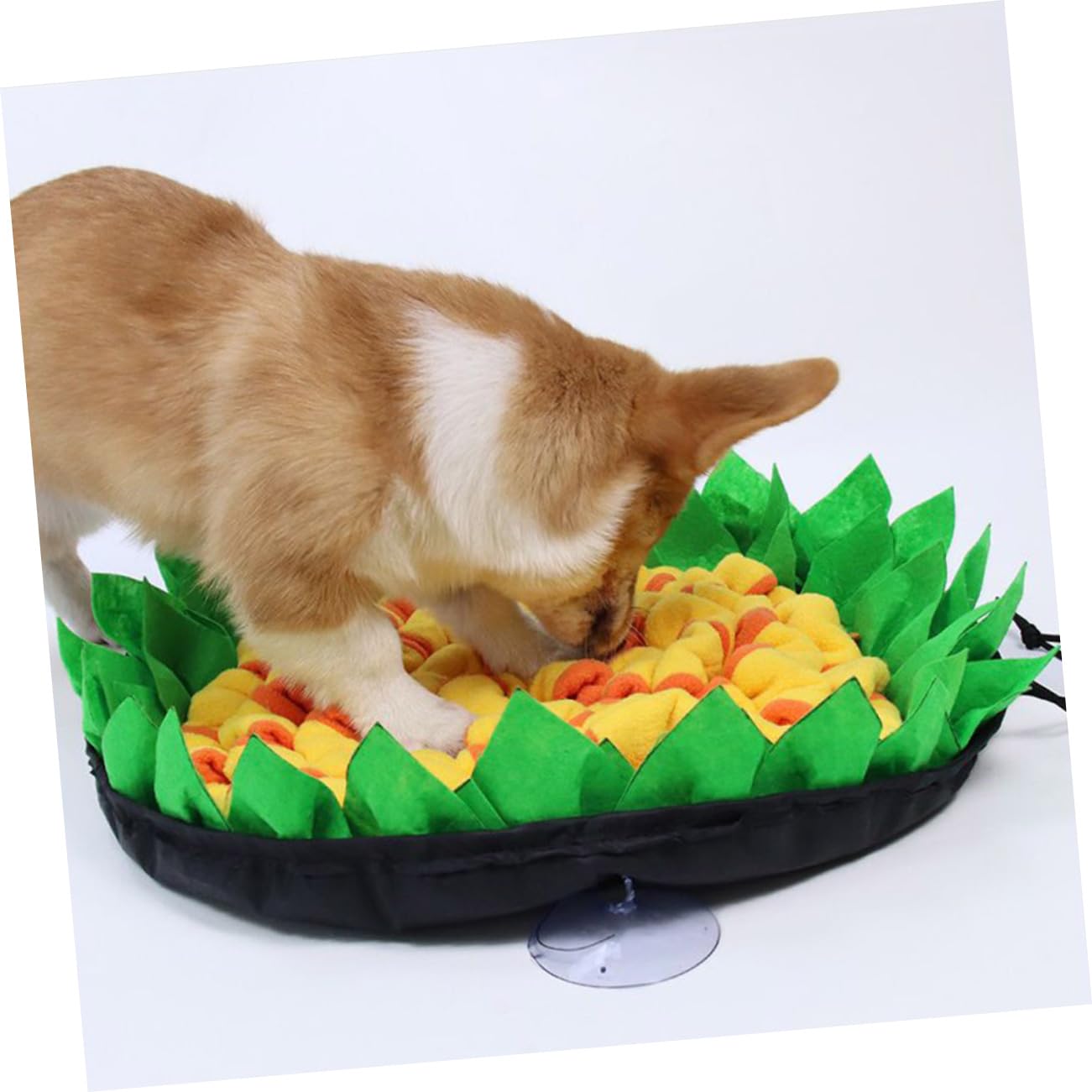 Leckerlimatte für Hunde für Schnüffel und Slowfood Training