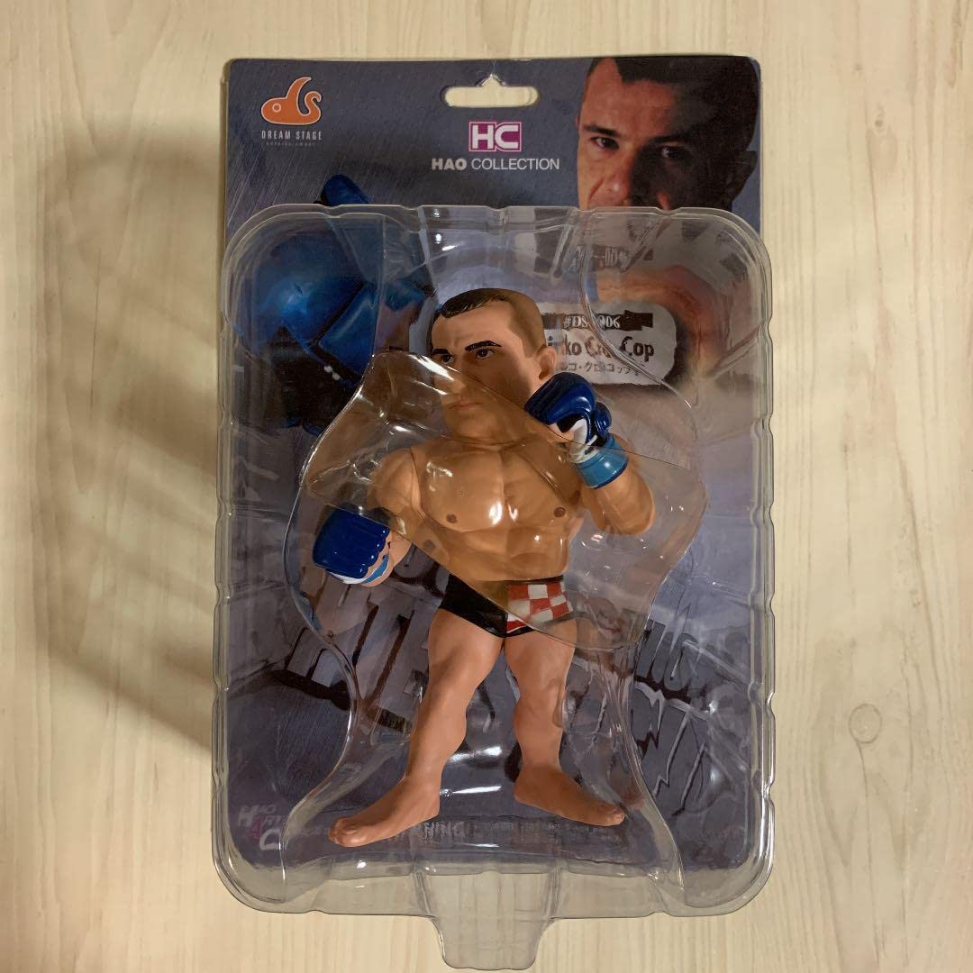 Amazon.co.jp: UFC ROUND5 ホドリゴノゲイラ HAO
