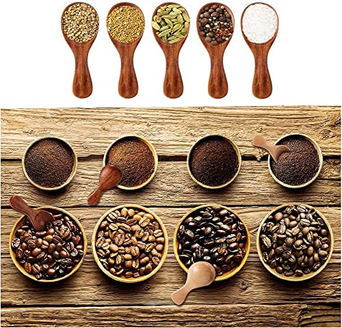 Youery 8PCS Small Wooden Spoon, Mini Wooden Spoons with Short Handles, Natural Wood Material, Ideal for Jam Spices, Tea - Image 4
