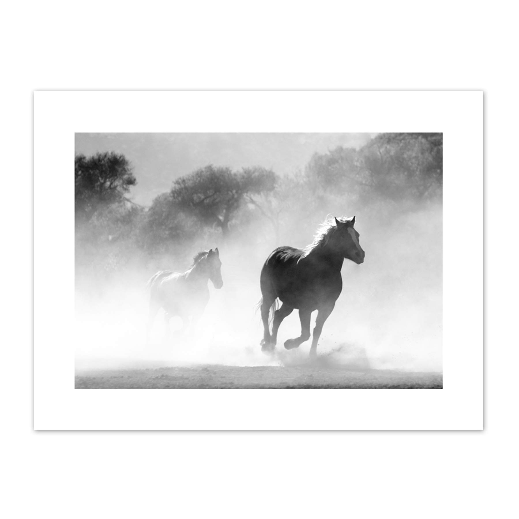 Horses Running Mist BW Canvas Wall Art Print