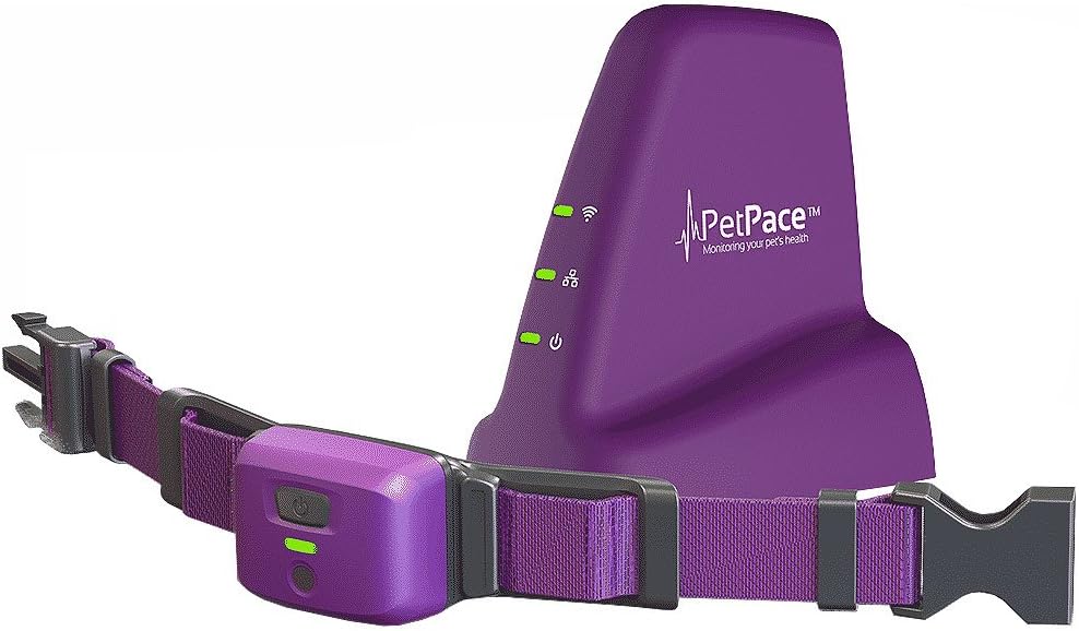 Petpace smart collar Clearance