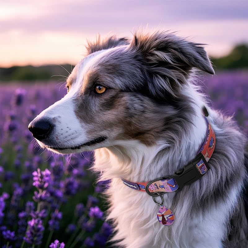 PawView Dog Collar & Lead Set including QR Code ID Tag- Adjustable, Waterproof & Comfortable -for Small Medium, Large Dogs(S - Image 2