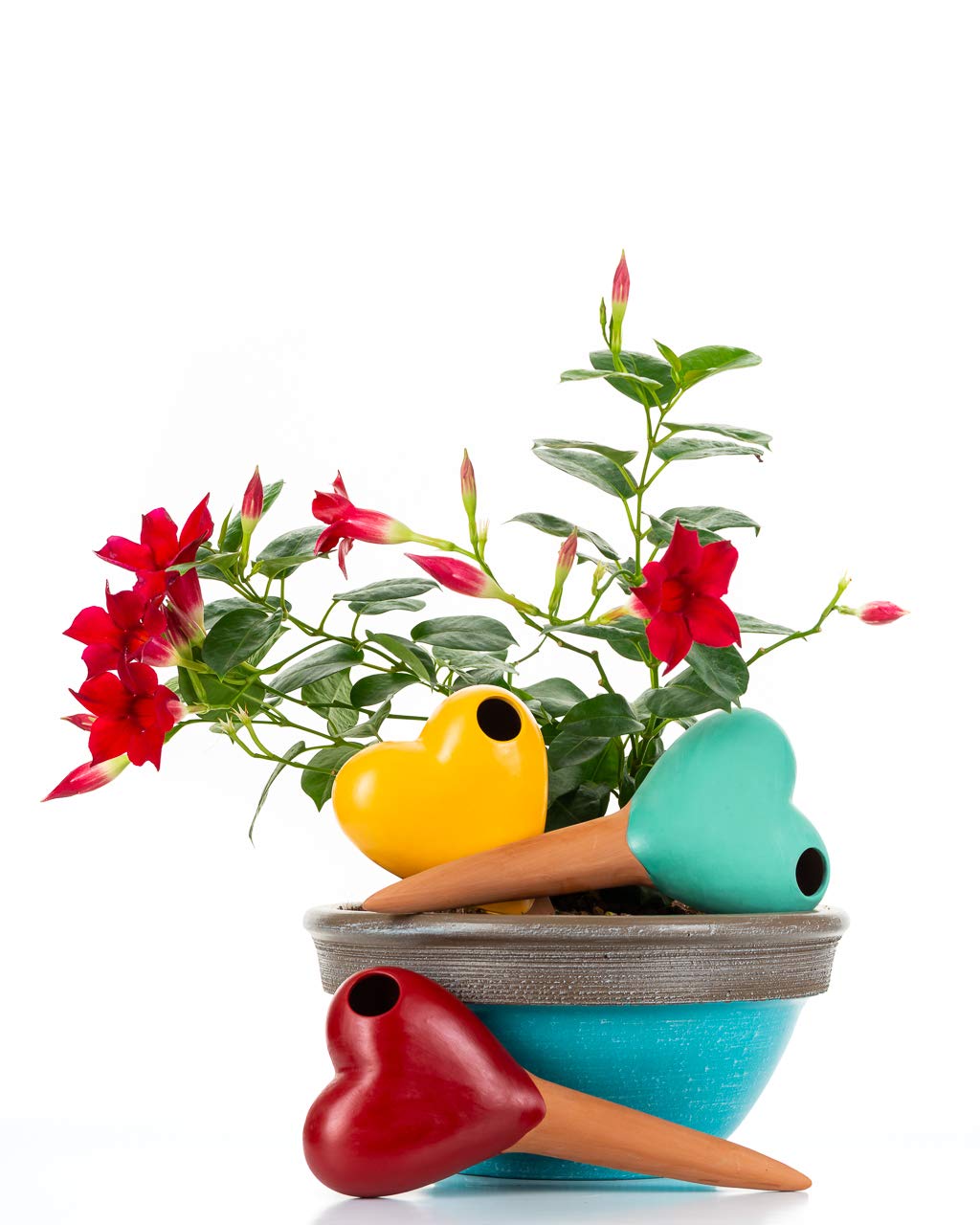 Mushroom Terracotta Watering Globes 3 Self Watering System