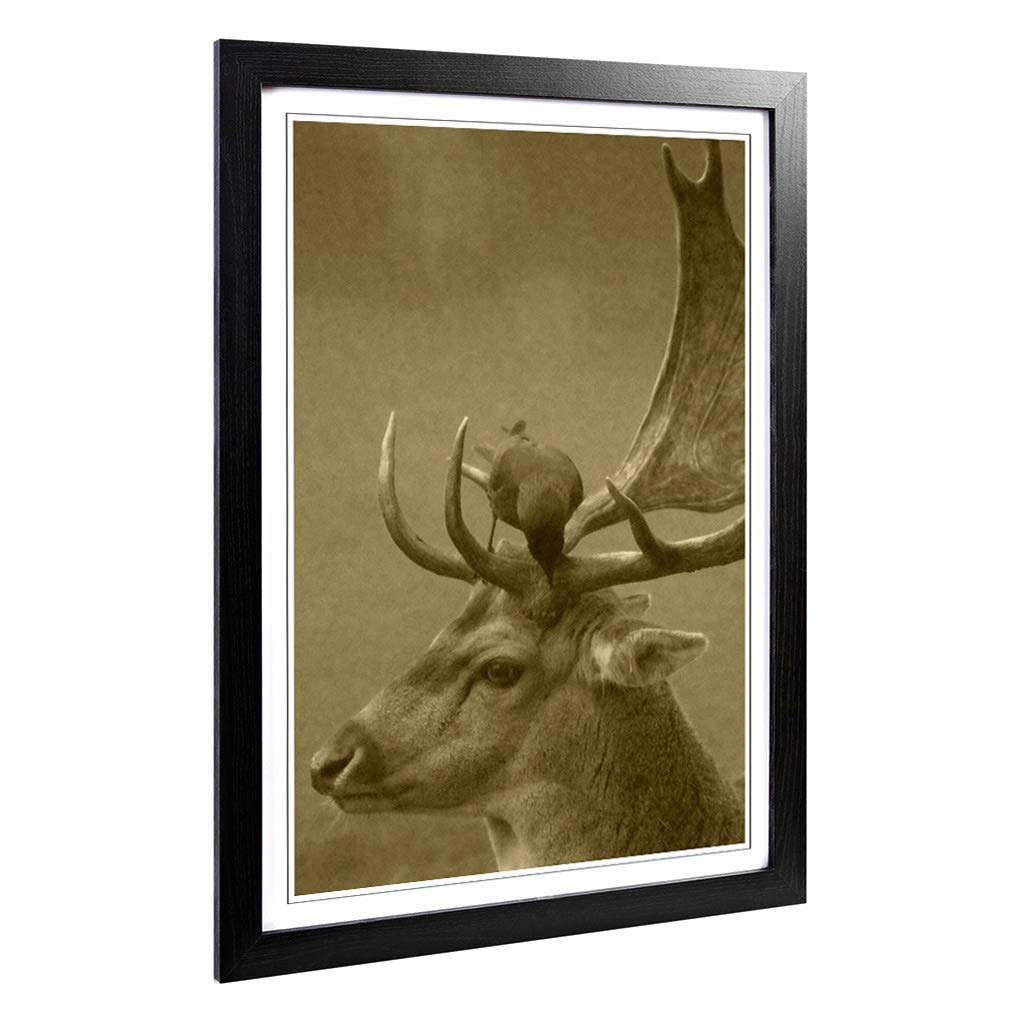 Big Box Art Framed Print of Stag and Bird Design | Wall Art Picture | Home Decor for Kitchen, Living, Dining Room, Lounge, Bedroom, Hallway, Office, Black, A2 / 24.5x18 Inch / 62x45cm
