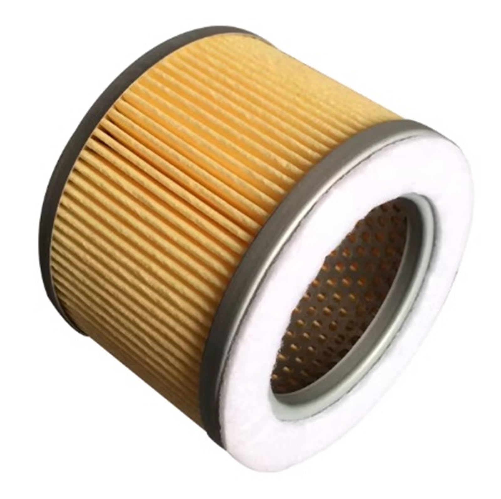 Tscfhgqi One Color 2Pcs Air Filter Element 909505