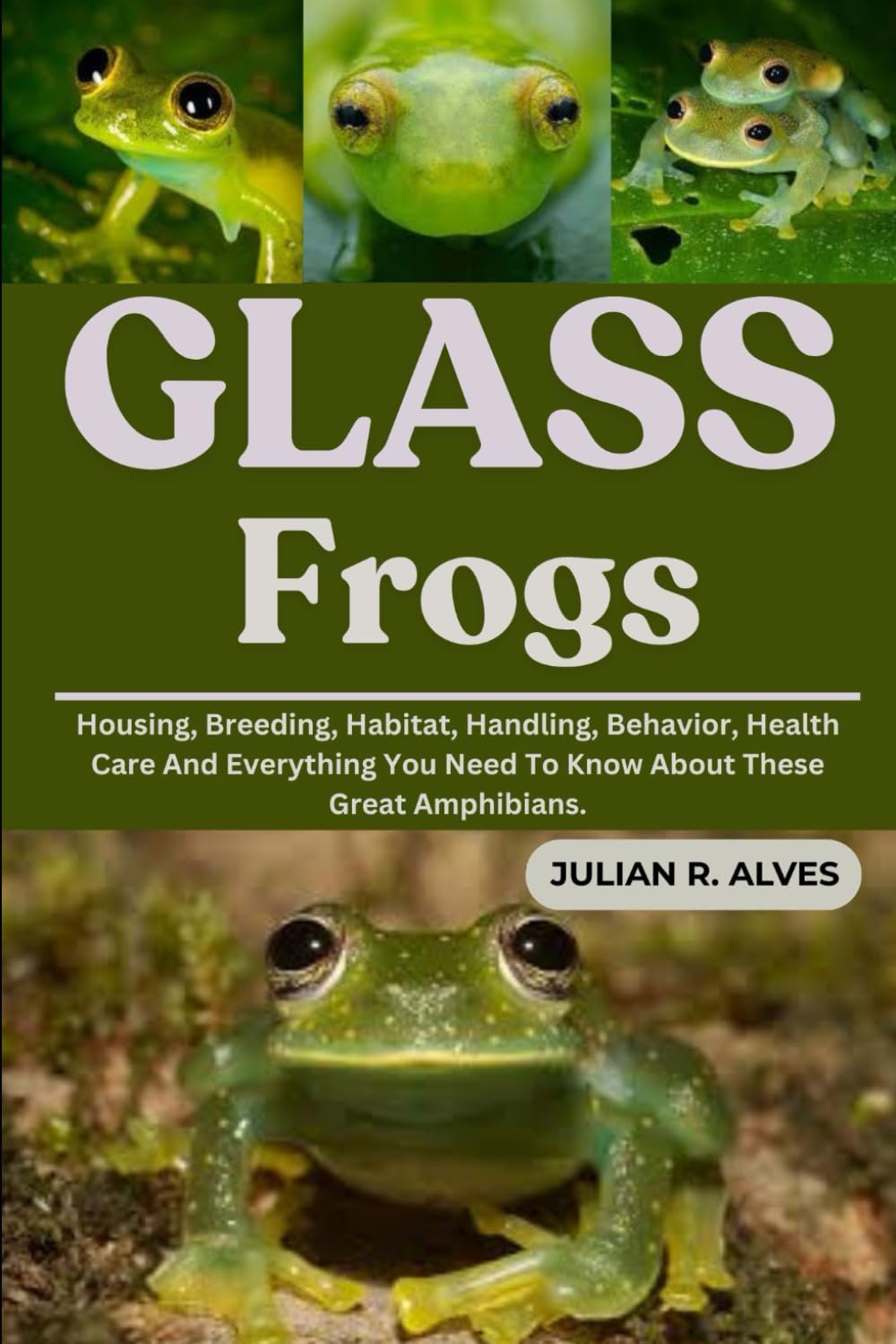 GLASS FROGS: Housing, Breeding, Habitat, Handling, Behavior, Health Care And Everything You Need To Know About These Great Amphibians.