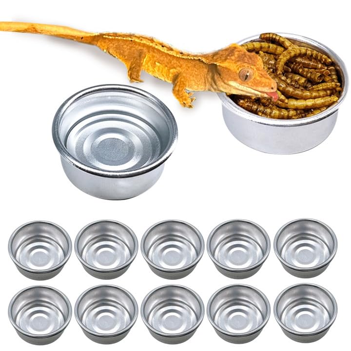 Gobelets en métal gecko pour reptiles, accessoires pour petits lézards et tarentules