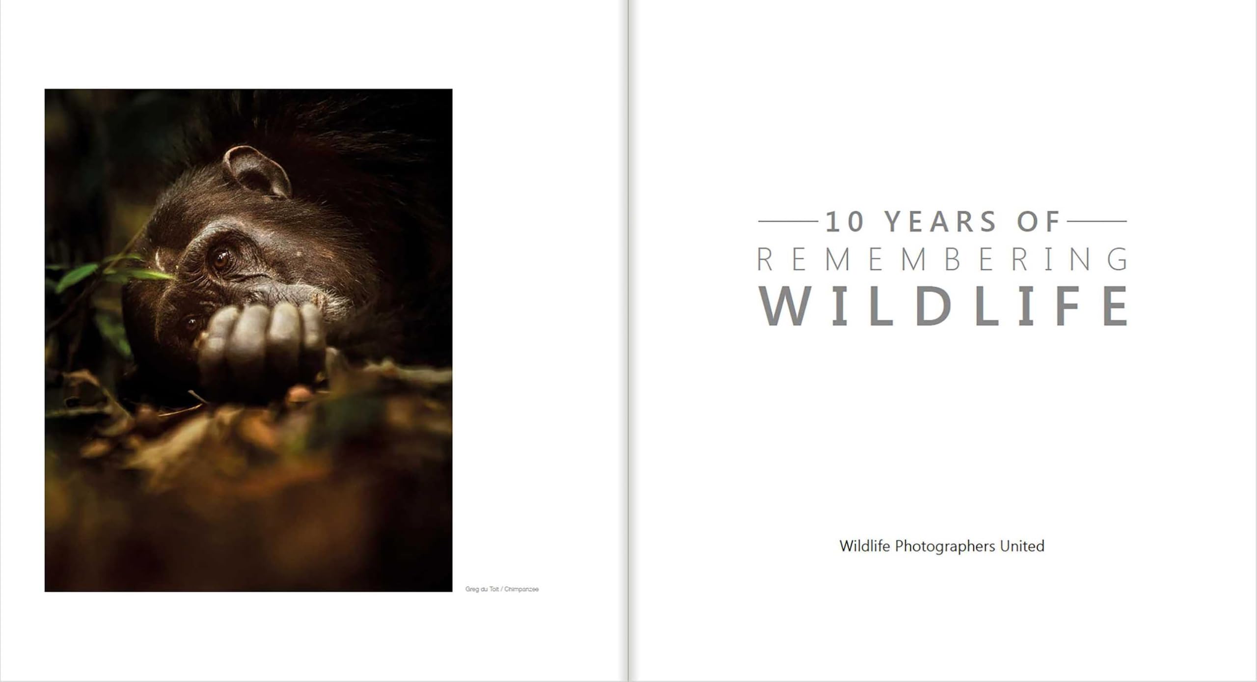 10 Years of Remembering Wildlife