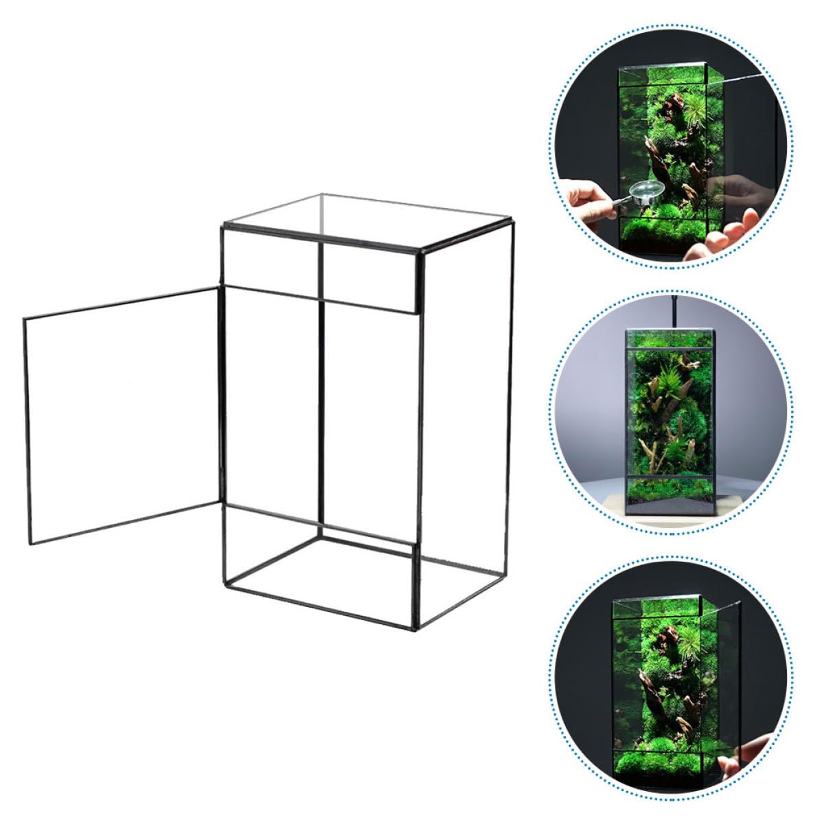 jojofuny Kleines Glas Terrarium mit Zinnrahmen Transparentes Sukkulenten Pflanzgefäß für Wohnzimmer und Büro Selbstgemacht Landschaftsterrarium Kompakter Tisch Pflanzenbehälter