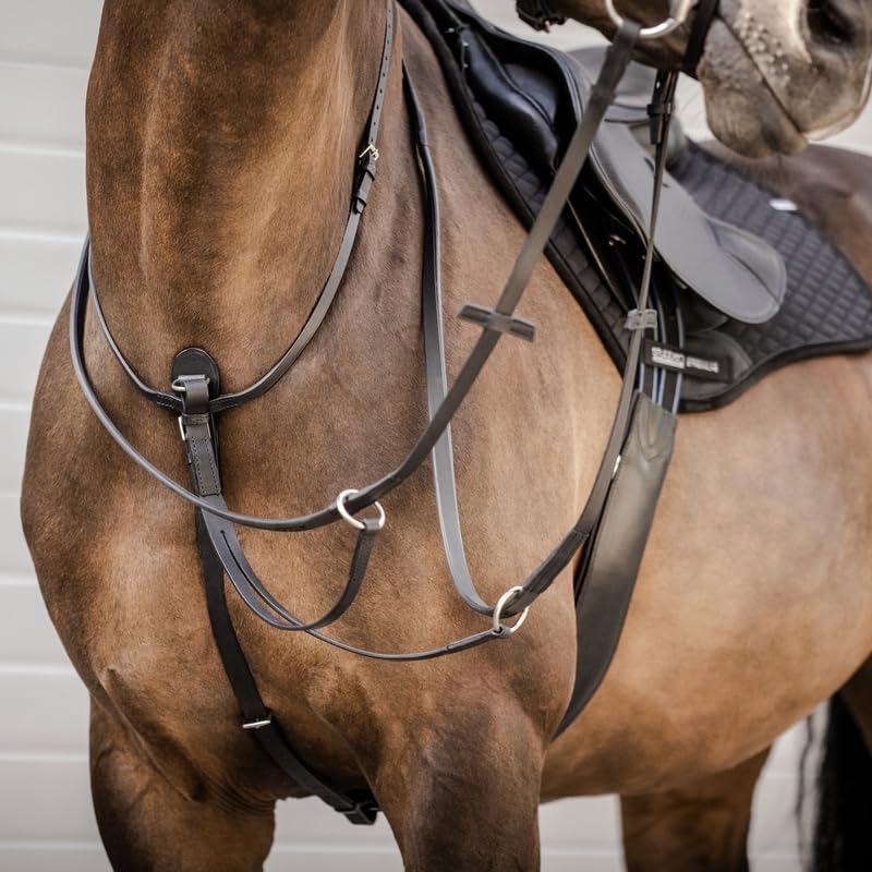 Stübben Pechopetral con tijerilla - ébano/ébano - Extra Size (EXG) - Plata