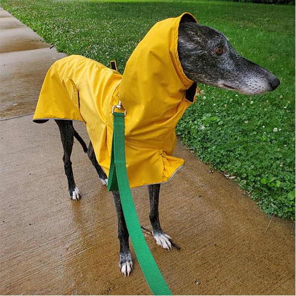 VOODUE hunderegenmantel Italienische Windhund-Kleidung, wasserdichter Whippet-Mantel, Winter, verstellbare Windhund-Kleidung, Winter-warme Fleece-Kleidung, warme Jacke for Hunde (Color : GELB, Size