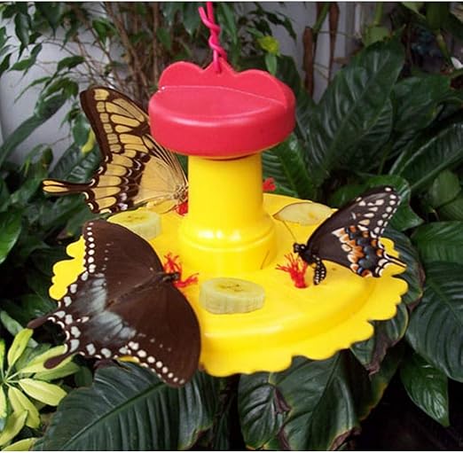 Songbird Essentials SE78200 Butterfly Feeder (Set of 1)