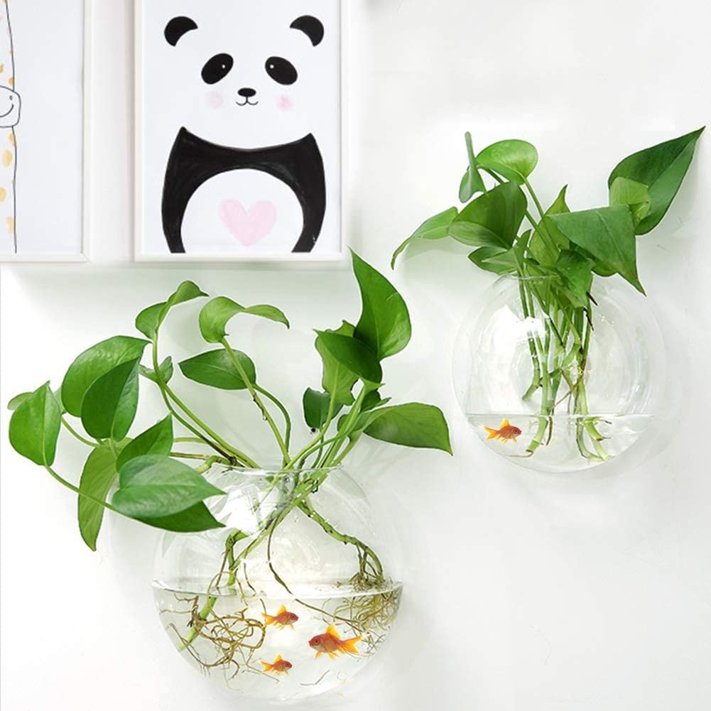 Qcwwy Réservoir de Poissons Suspendu au Mur Bol à Poissons en Acrylique Conteneur Décoratif Suspendu Aquariums Suspendus Réservoirs à Bulles en Acrylique Transparent Réservoir de