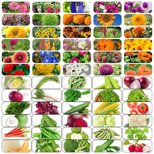 Image of 60 Varieties Seeds Combo Pack, 30 Vegetable and 30 Flower Seeds, High Germination Rate, All Seasons