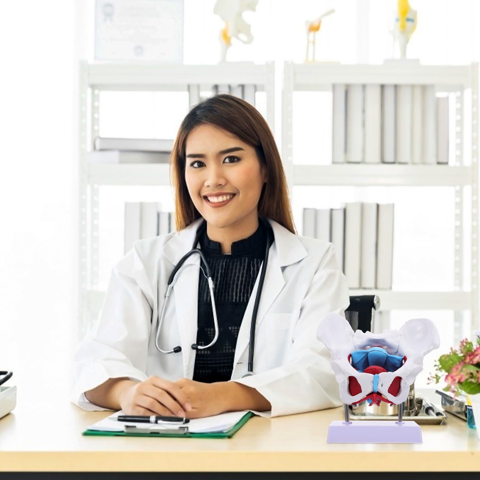 Alasum Design Anatomico in Separabile Portatile per Insegnamento Scuola per Educazione Scientifica Professionale