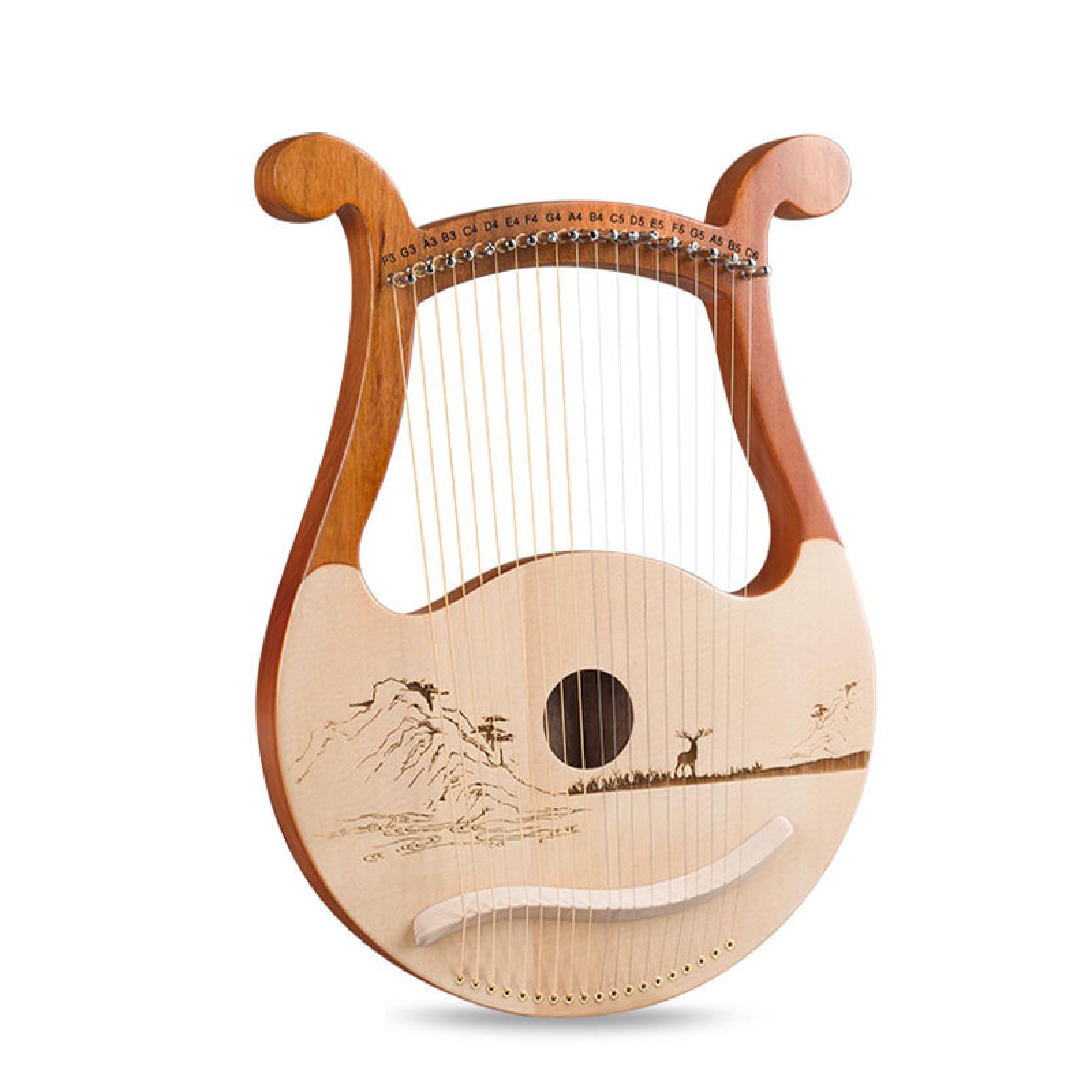 Amazon.com: BRLIBESE Lyre Harp 19 String Beginners Harp Portable