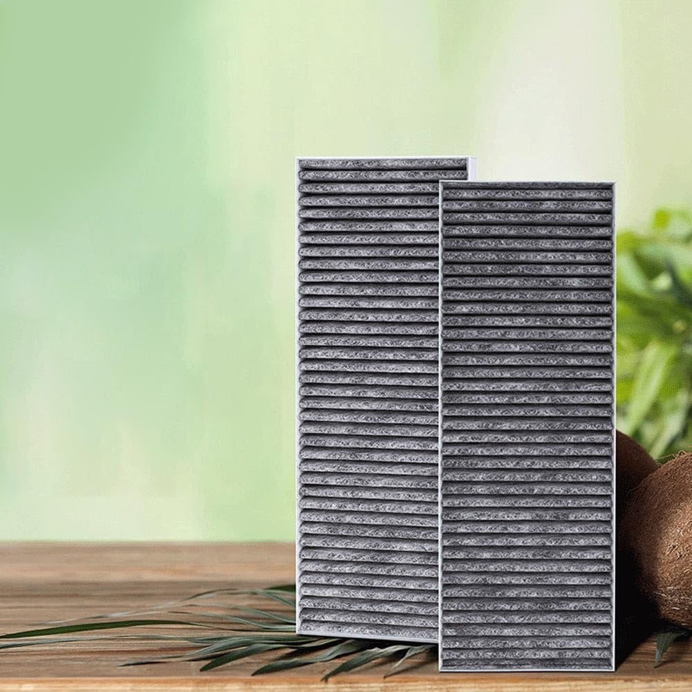 Filtro Antiodore Cucina 2pz per BORA Pure(Getting Basic)