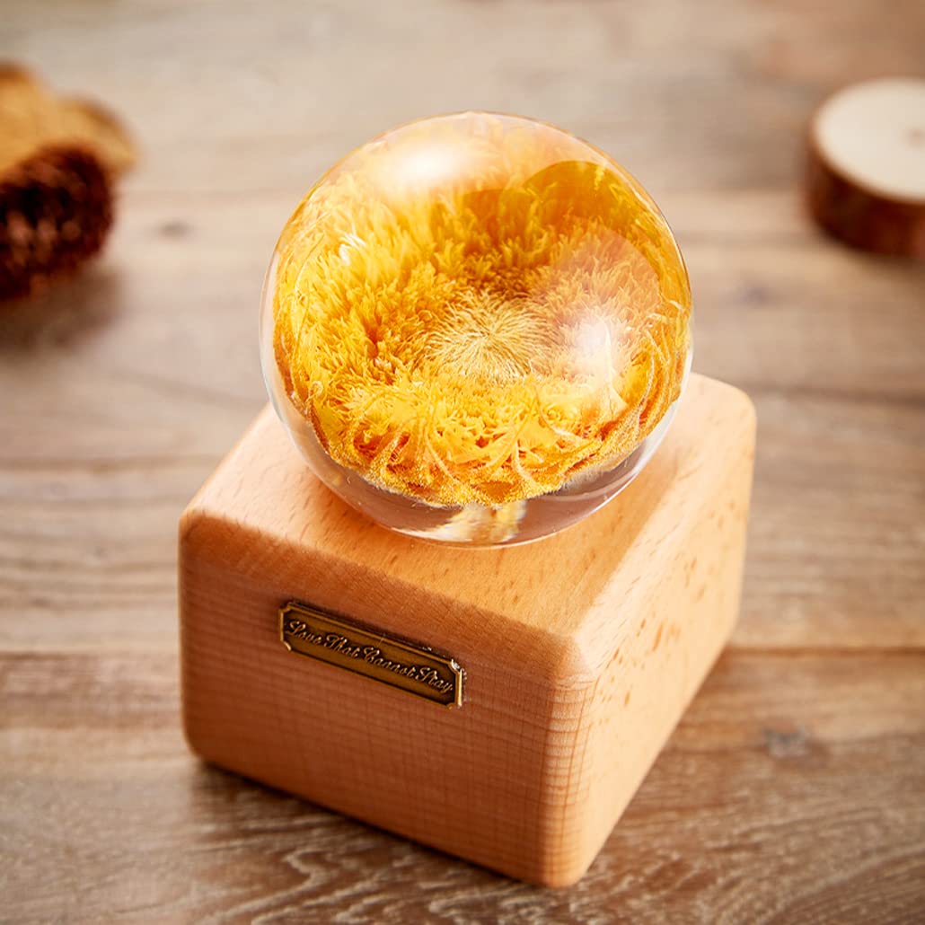 iSuperb Resin Ball Moulds for Resin Kits Resin Casting Molds Sphere Molds for Resin Epoxy 3D Crystal Mould DIY Crystal Ball Mold Translucent Ornament Resin Crafts - Image 3