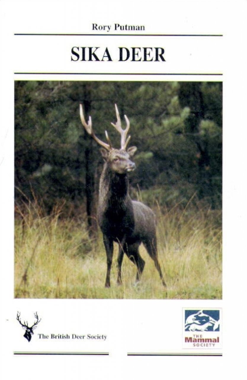 Sika Deer (Mammal Society Species Series)
