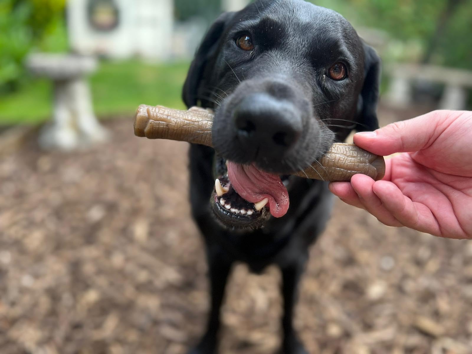Nylabone Maximum Strength Tough Extreme Gourmet Stick Dog Chew Toy, Infused with Extra Peanut Butter Flavour Throughout - Image 4