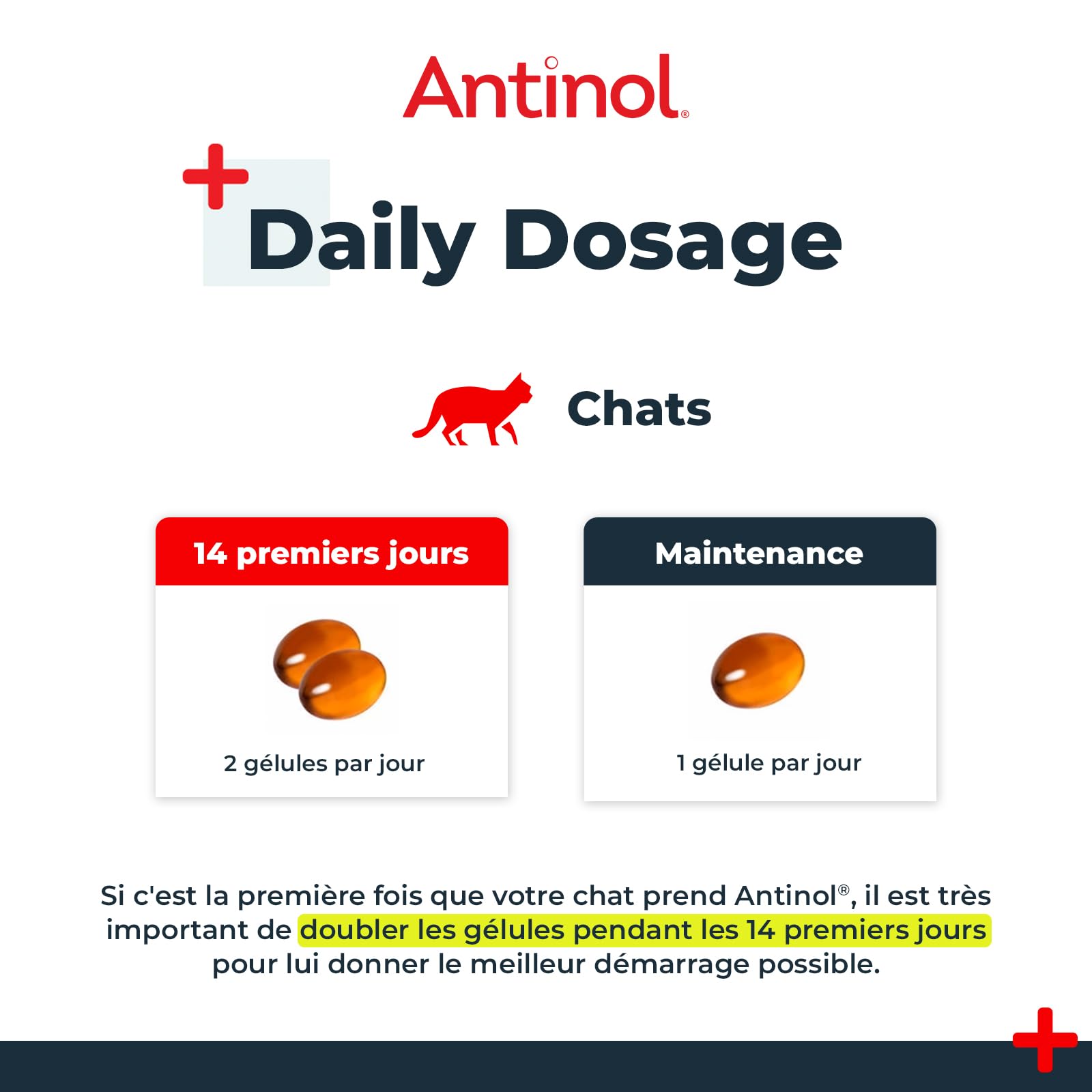Antinol - Complément Naturel des Chats Adultes - cliniquement prouvé - soutient la mobilité des articulations et la santé de la Peau - avec des moules à lèvres Vertes, oméga 3 & VIT E - 90 Capsules