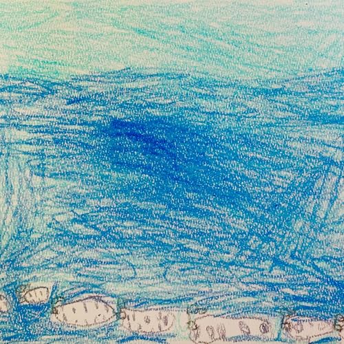 Super Oysters Save the Bay! - STEAM marine science for kids Podcast Por arte de portada