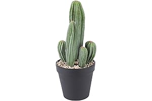 Artificial Saguaro Cactus Faux Plant: A Desert Delight