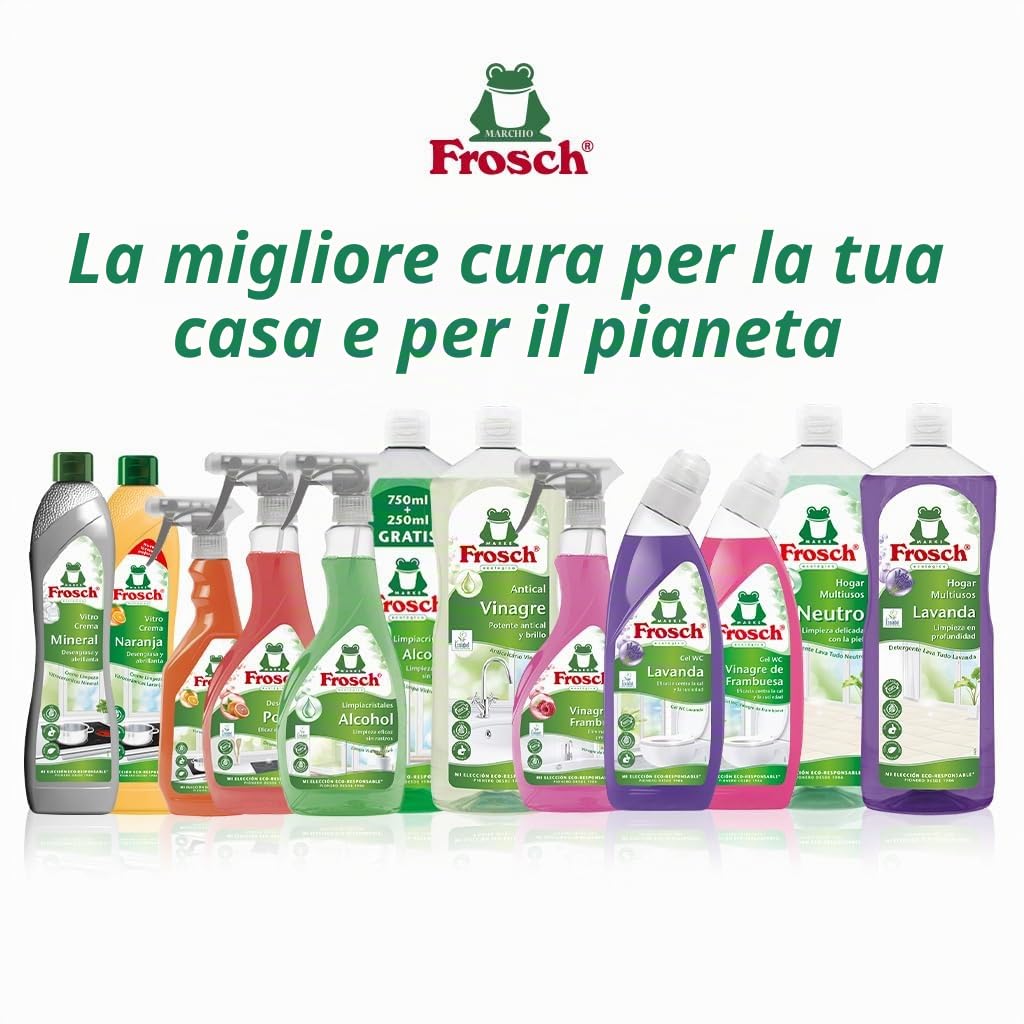 Frosch - Detergente anticalcare per aceto, rimuove le macchie di calcare da bagno e cucina, efficacia disincrostante - Confezione da 10 pezzi x 1 l