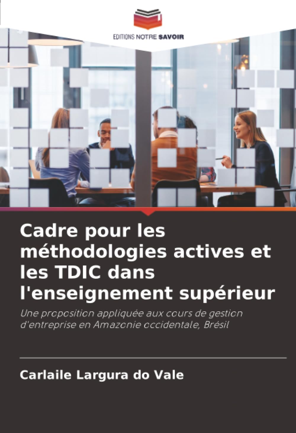Cadre pour les méthodologies actives et les TDIC dans l'enseignement supérieur: Une proposition appliquée aux cours de gestion d'entreprise en Amazonie occidentale, Brésil