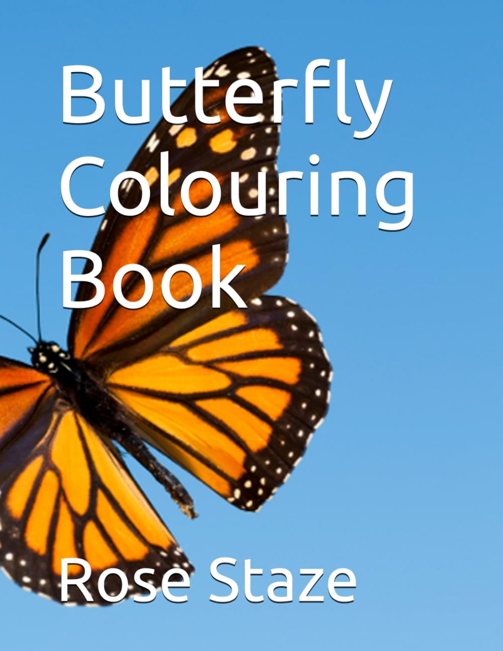 Butterfly Colouring Book