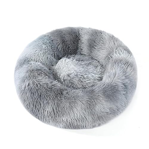 ybgxbh L  NbV ی^ h[icxbh ӂӂ ybg}bg 􂦂 ~ߕt g xbh  ۉ h Lzc _炩 ^ ^ ^ LQ 傫 Lxbh ~p ʋC ˂ lRxbh ΍ 킢