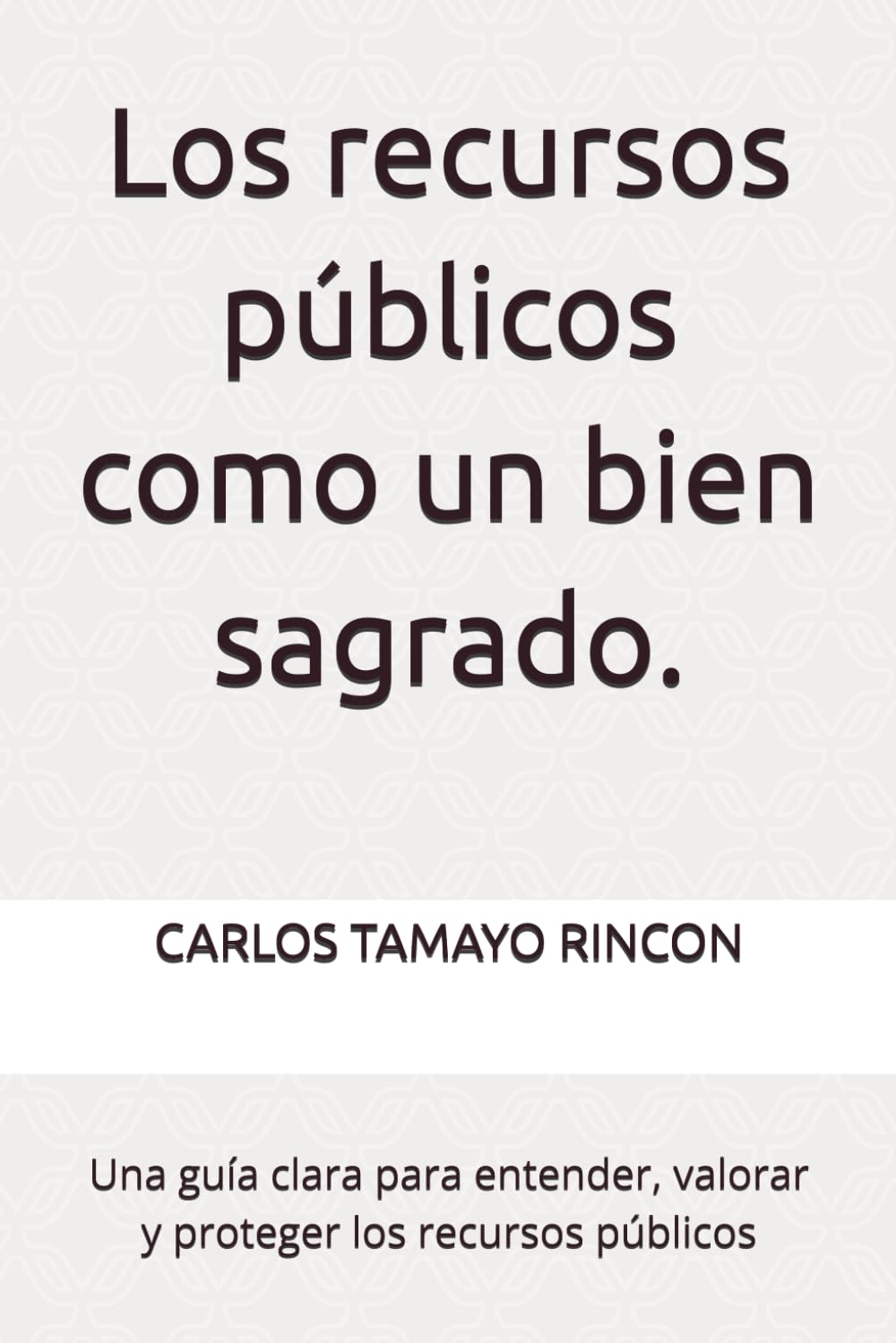 Los recursos públicos como un bien sagrado.: Una guía clara para entender, valorar y proteger los recursos públicos
