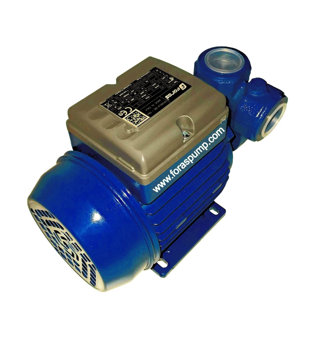 FORAS Bomba periférica eléctrica PL100, fabricada en Italia, funcionamiento continuo, Pentax antibloqueo, 230 V, 0,74 kW, 5-50 l/min, 65-18 m