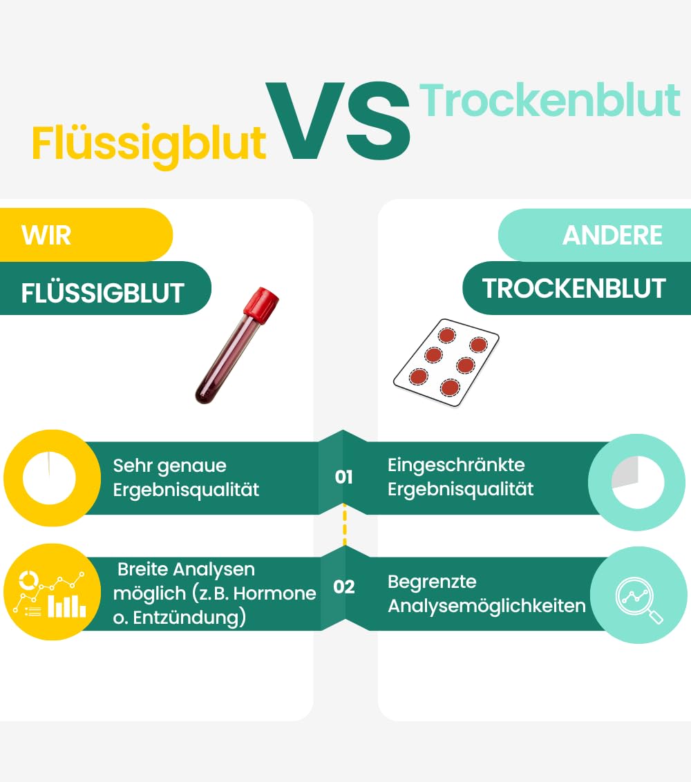 Cholesterin & Herzgesundheit Test | Gesamtcholesterin, LDL, HDL, Triglyzeride & HbA1c | Langzeitblutzucker messen | vollwertiger Labortest