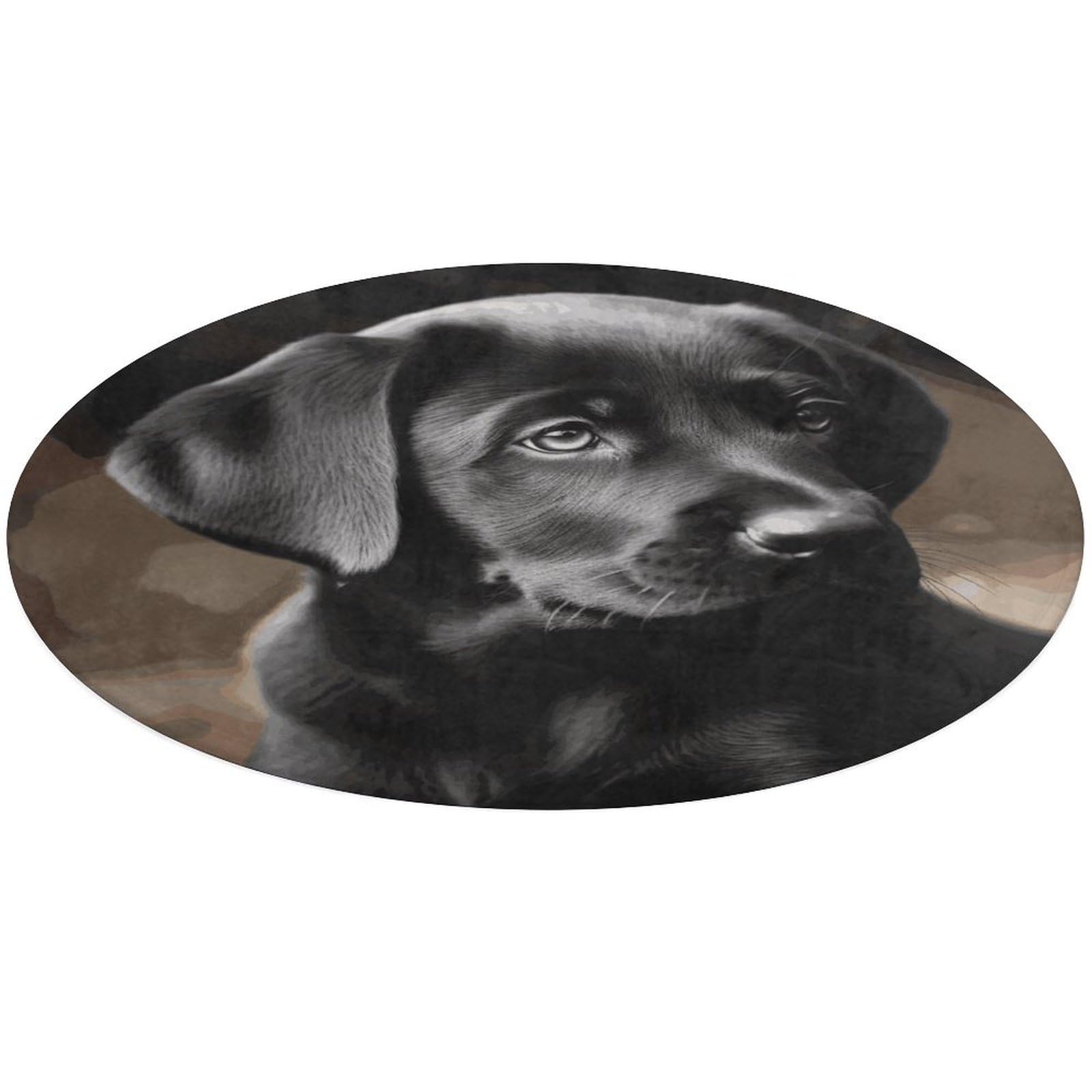 Tapis rond labrador en velours pour créer un coin lecture chaleureux dans le salon