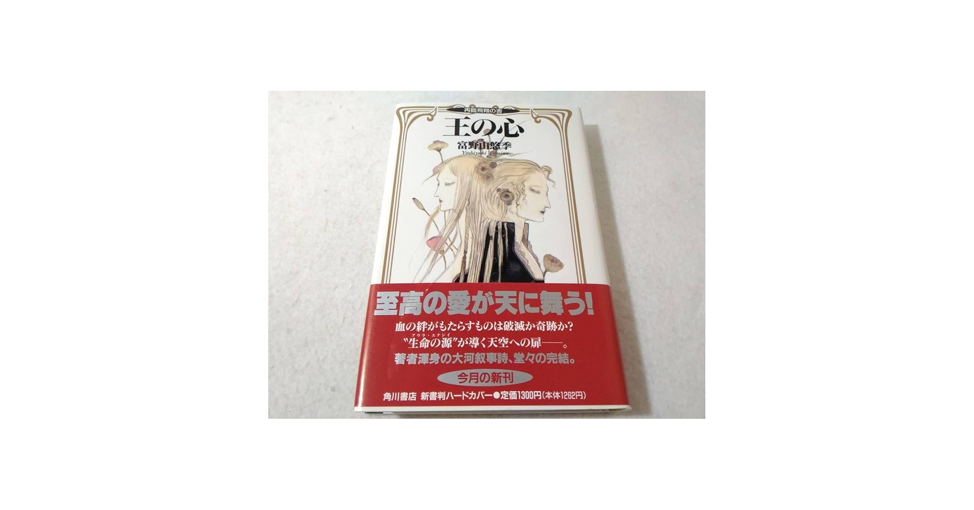 王の心　富野由悠季　2冊セット　天女誕生の書　再臨飛翔の書 Amazon.co.jp: 王の心: 再臨飛翔の書 : 富野 由悠季, 天野 喜孝: 本