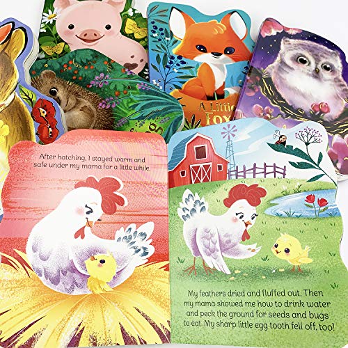A Little Chick: Animal Shaped Board Book