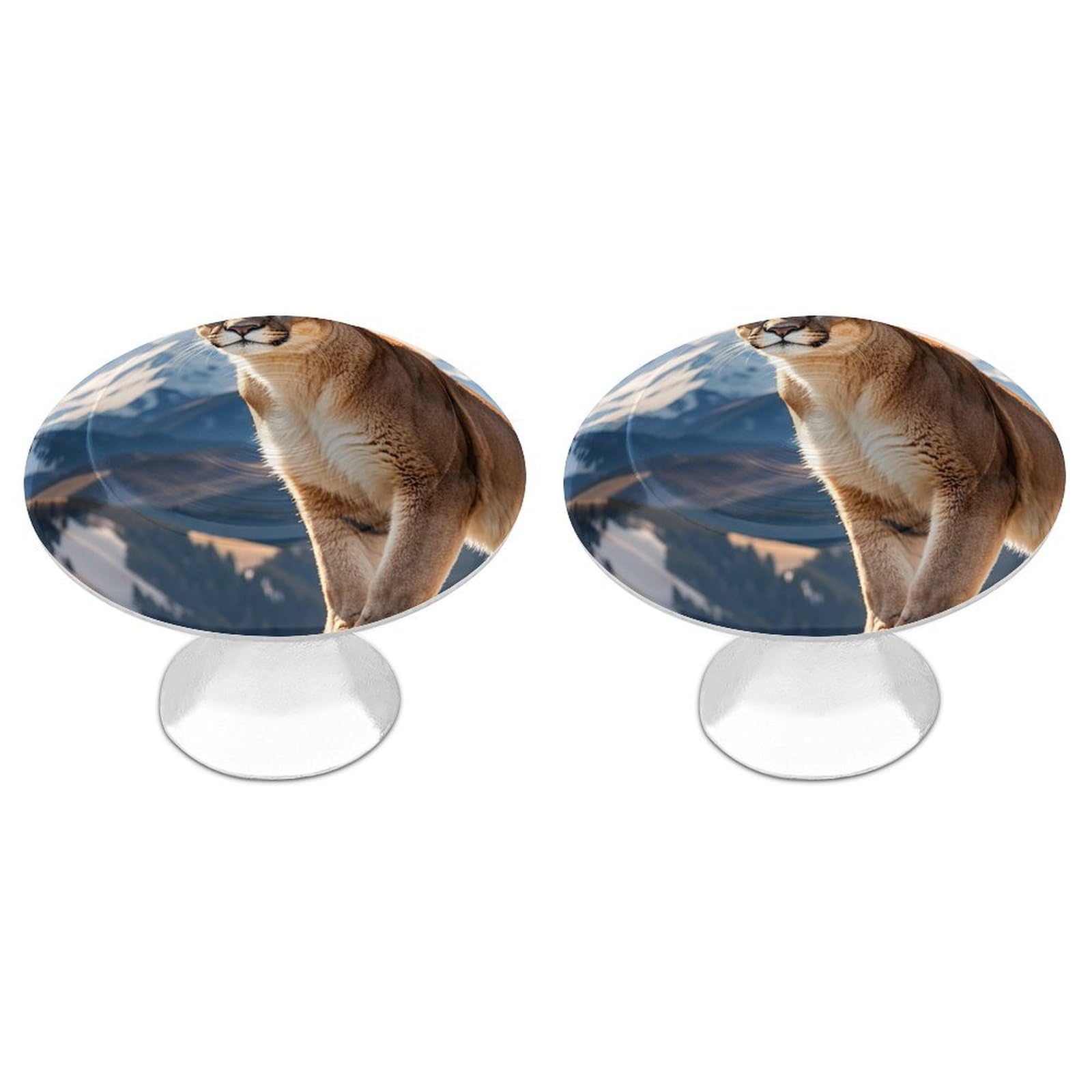 FekiLoot Round Cabinet Knob 2 Pack Kitchen Drawer Knobs Stainless Steel Round Drawer Pulls Modern Cabinet Hardware Panther & Mountain Lion Drawer Hardware for Dresser Closet Door Knobs
