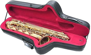Amazon | PLAYTECH (プレイテック) バリトンサックス PTBS200