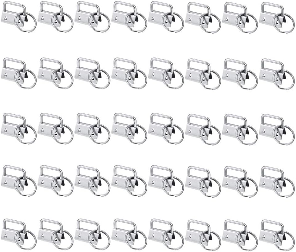 sansheng 60 Pack Key Fob Hardware 1 inch, Keychain for Making Key Chains (Silver)
