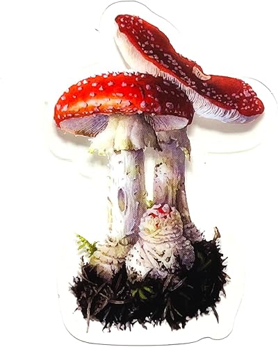 Miniatura 4 de Juego de 40 calcomanías de flores transparentes, impermeables, reutilizables, sin residuos, para planificador de diario, maleta, portátil, álbum de