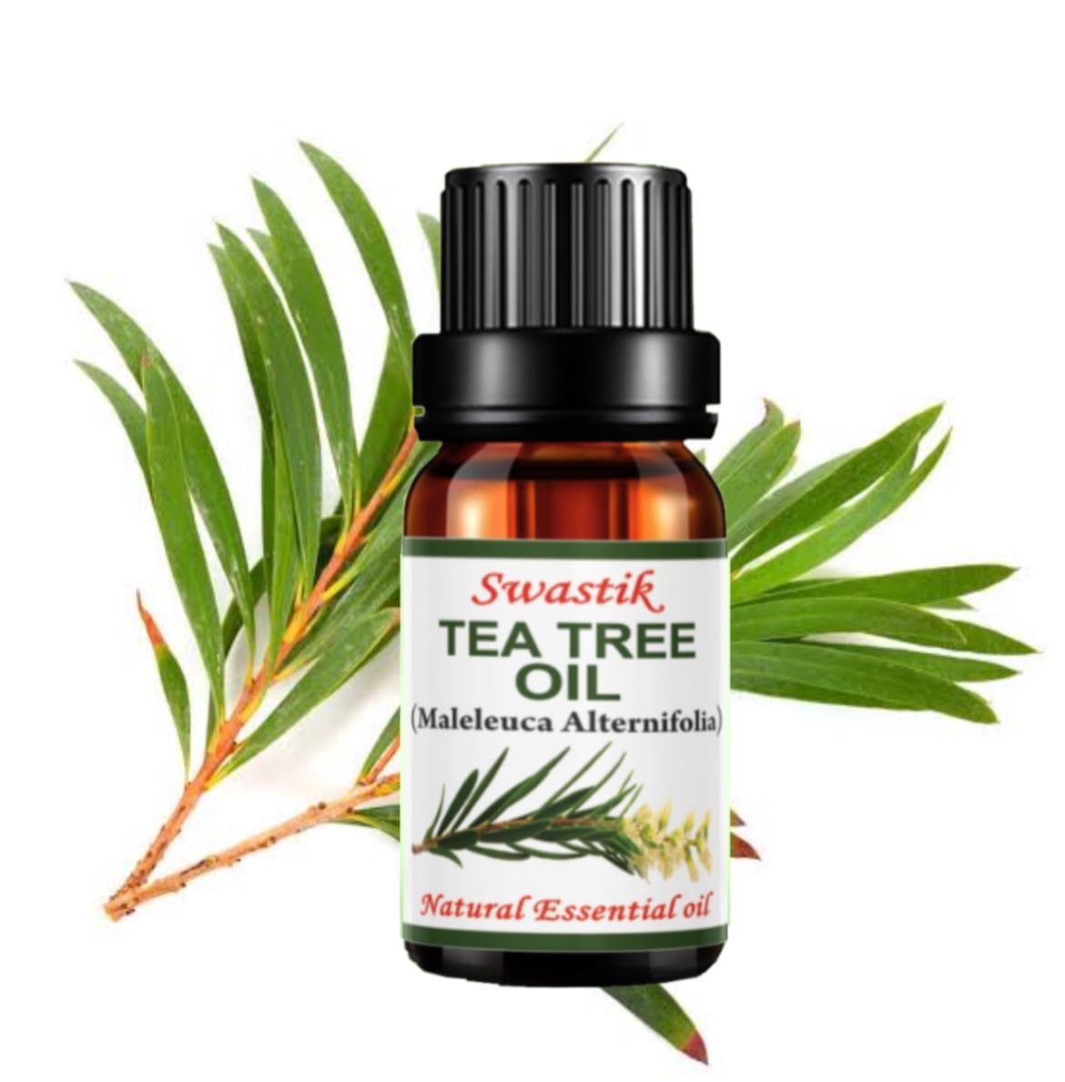 Swastik Ooty Tea Tree Oil – Undiluted Pure Melaleuca Alternifolia Essential Oil for Skincare & Wellness - 10ml (B07115PFTT) Amazon Price History, Amazon Price Tracker