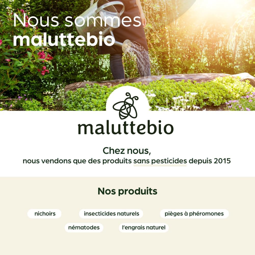 Nématodes pelouse et gazon - Traitement contre les larves de Tipules (vers gris ou Cousin) - 100% naturel. Traite les tâches jaunes du gazon (Pour 200m² (100 millions))