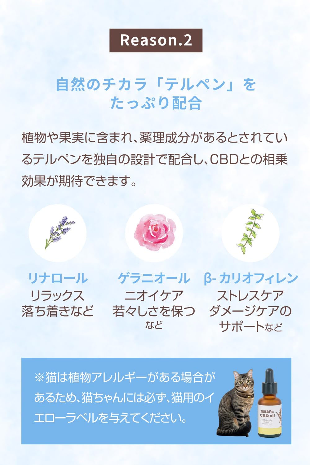 新品　M&N's CBDオイル 1500mg 30ml 犬用 Amazon | M&N's 大型犬用CBDオイル [動物病院取り扱い商品・国内