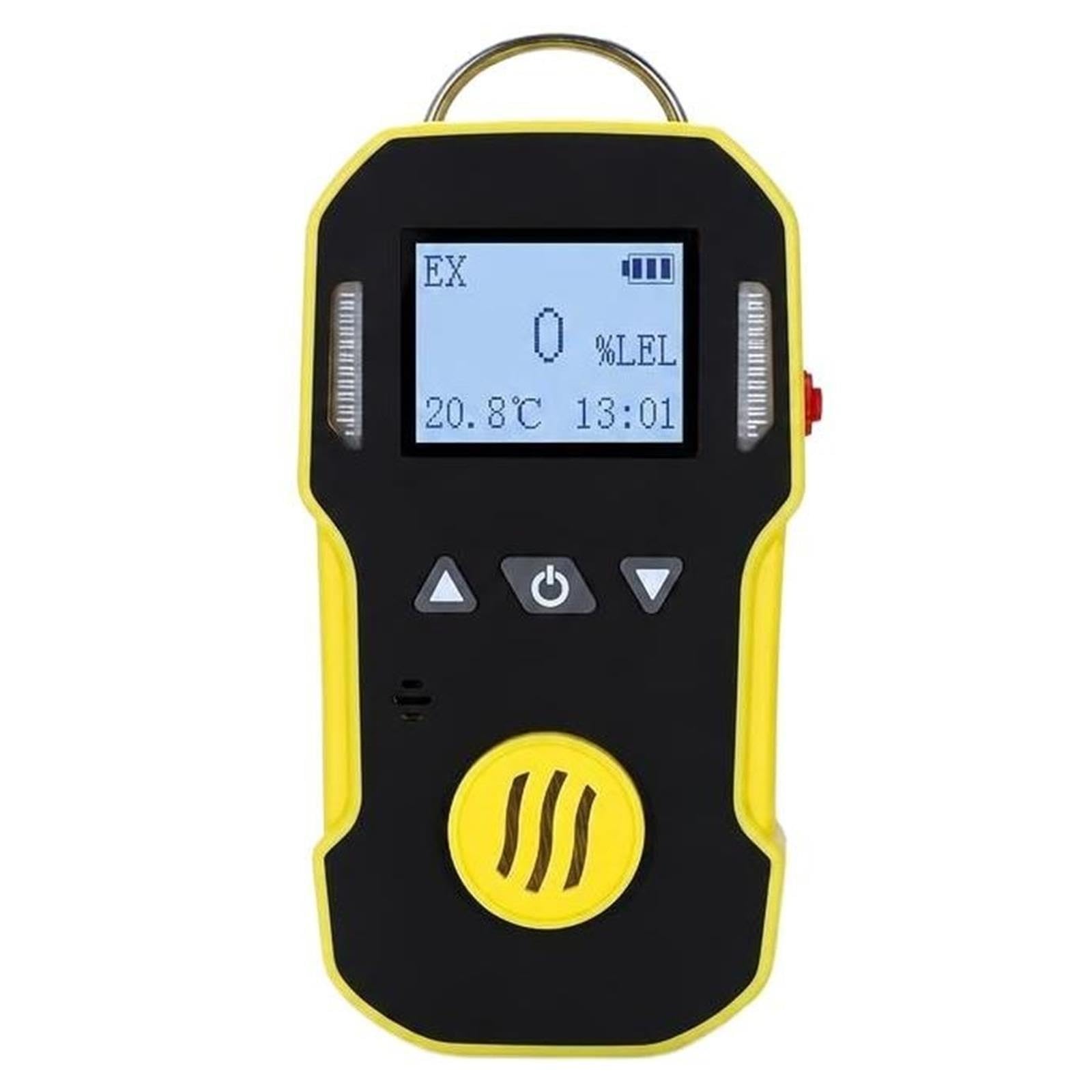 Rilevatore di perdite di Gas combustibile tossico Impermeabile Antipolvere a Prova di Esplosione a Diffusione Naturale CO H2S CH4 O2(O2(0-30% Vol-0.1))