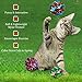 SunGrow 12 Pack Cat Crinkle Balls - 2 Inch Toys for Indoor Pets - Keep Your Feline Energetic & Excited with Vibrant Colors, Lightweight Design for Long-Lasting Fun, Perfect for Playtime